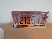 LICENSE PLATE USA Replika