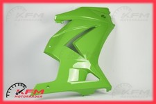 Kawasaki Ninja 250R EX250K