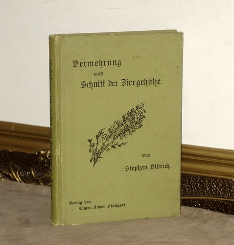 Vermehrung und schnitt der - und,