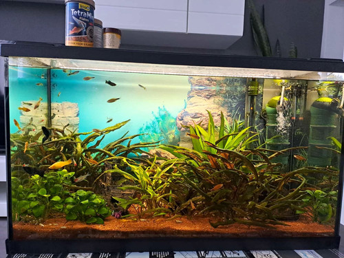 Aquarium eheim aquaproled 126l - aquarium,