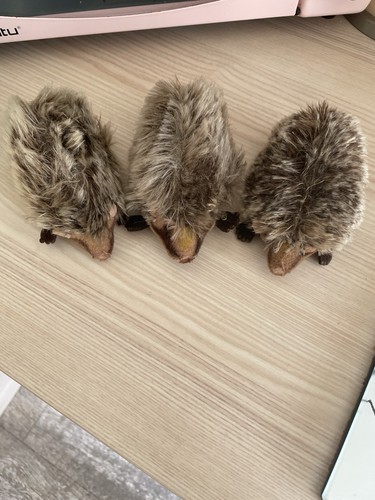 Steiff igel alle mit knopf - mit,