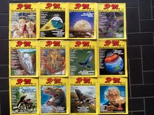 PM Kompletter Jahrgang 1980