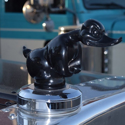Duck hood ornament - hood, proof