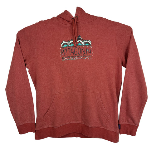 Patagonia fitz roy hoodie - roy,
