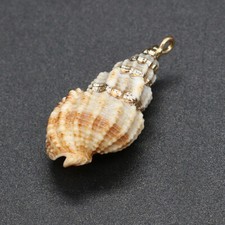 Ω  Anhänger gedrehte Muschel Jakobsmuschel goldfarbig eingefaßt