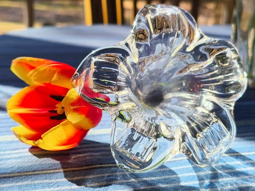 Wunderschöne große glasblume - wunderschöne,