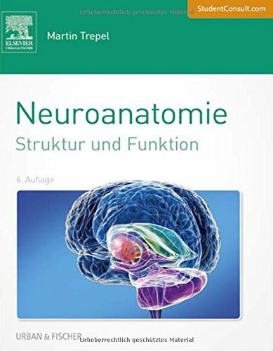 Neuroanatomie struktur und - struktur,