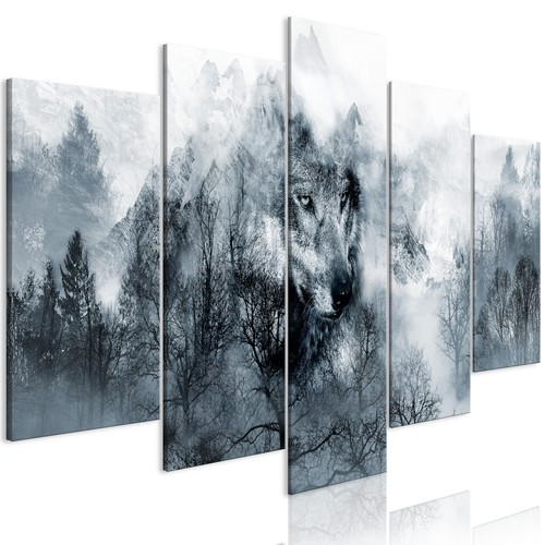 Wald wild tiere wolf - wolf, natur