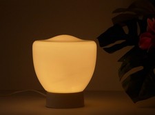 Seltene Deckenlampe Art Deco Plafoniere 30er 40er Bauhaus Lampe Glas Vintage