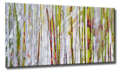 Leinwand bild abstrakt bambus - leinwand,