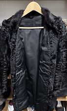 Breitschwanz Persianer