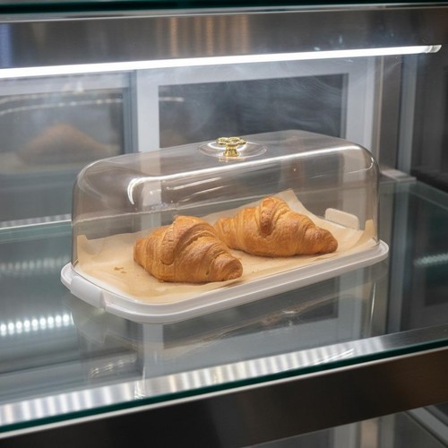 Dessertbox rechteckig