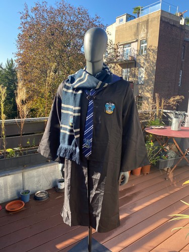 Harry potter ravenclaw - potter, kostüm