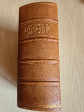 Histoire littérature - histoire,
