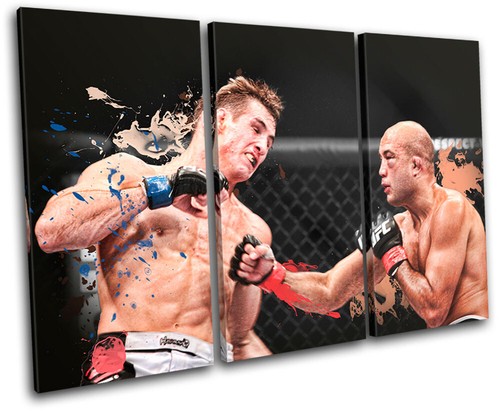 Mma penn sports - mma,