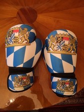 Boxhandschuhe Felizent 16oz