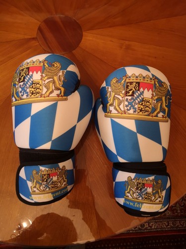 Boxhandschuhe felizent 16oz - boxhandschuhe,