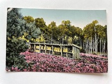 AK Lüneburger Heide Bienenstand 1927