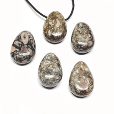 DUNKLE VERSTEINERTE KORALLE