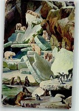 39827371 - 2000 Stellingen sign. de Bruycker Walrosse Seeloewen Eisbaeren