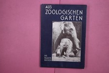 271738 Paul Wolff AUS