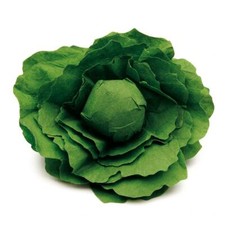 Erzi Salatkopf, Salat (aus