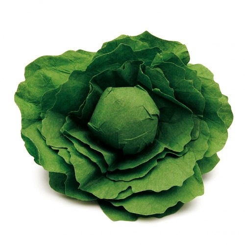 Erzi salatkopf salat - erzi,
