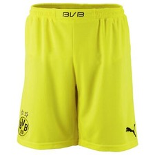 PUMA Herren BVB Borussia