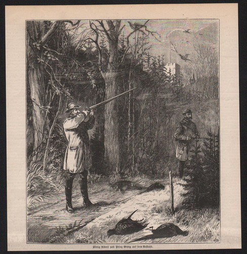 1885 könig albert prinz - könig,