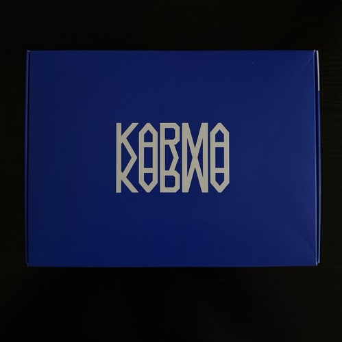 Stray kids karma - stray,