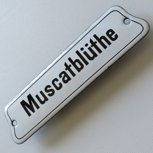 Muscatblüthe antikes - muscatblÜthe, =