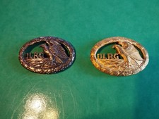 DLRG Abzeichen Silber und Gold!