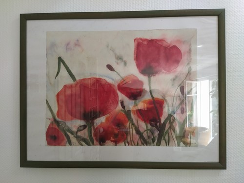 Aquarellbild mohnblumen - aquarellbild,