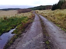 Foto 6x4 Forstgleis Whitehouse \/NR8161 bietet Zugang für Holzeinschlag c2009