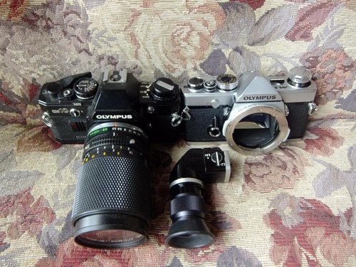 Olympus 10 film - olympus, m