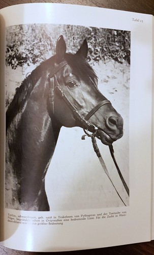 1979 trakehner chronik der - 1979,