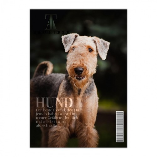 Airedale terrier schild dog - airedale,