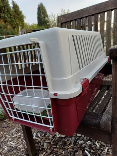 Transportbox katze tier - transportbox,