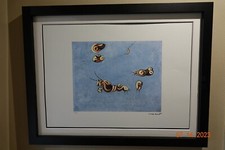 Kupka Lithographie , signiert