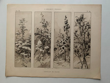 J.HABERT-DYS CHROMOLITHOGRAPHY