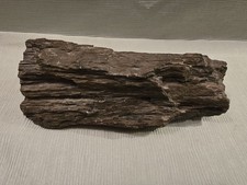 Versteinertes Holz ca. 2,5 kg