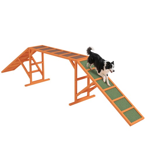 Hunde agility steg - hunde,