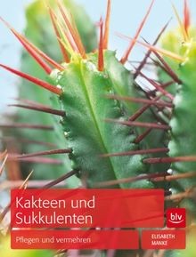 Kakteen und sukkulenten - kakteen,