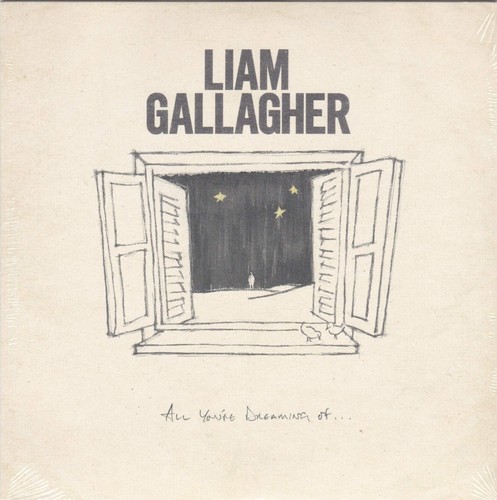 Vinyl single liam gallagher - single,