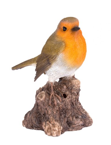 Rotkehlchen vogel auf - vogel,