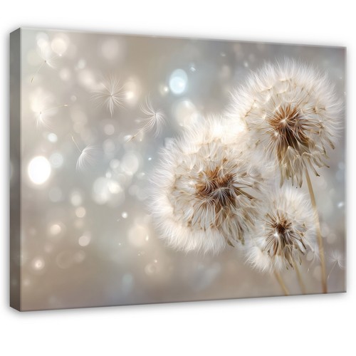Leinwand blumen pusteblumen - leinwand,