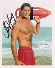 David Hasselhoff 20x25 cm