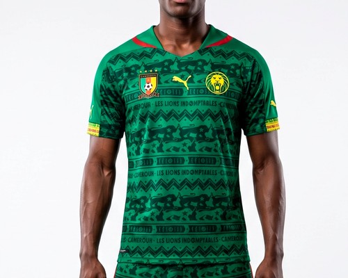 Puma kamerun fußball soccer - puma,