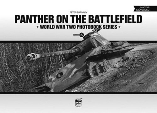 Panther the battlefield - panther,
