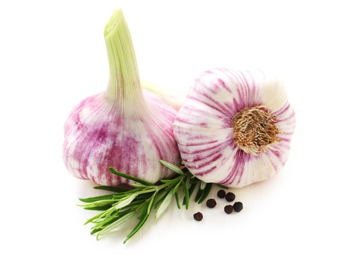 Knoblauch frischer - frischer,